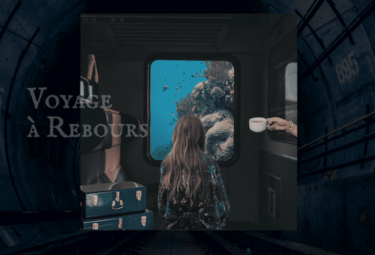 link to the presentation page of : Voyage à rebours